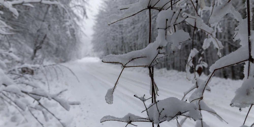 ΕΚΤΑΚΤΟ! Προσοχή: Στην… κατάψυξη η χώρα – Στους -9 βαθμούς θα πέσει η θερμοκρασία